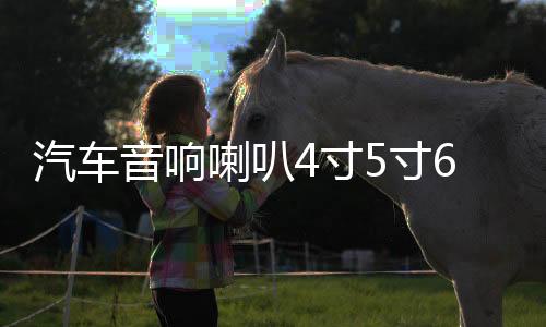 汽車音響喇叭4寸5寸6.5寸同軸全頻中重低音車載喇叭套裝無(wú)損改裝