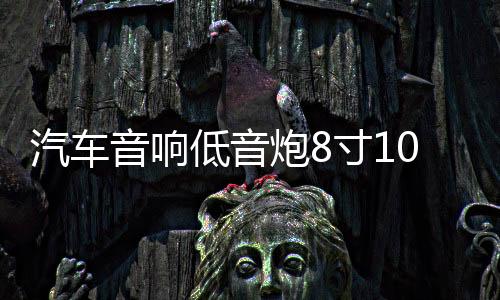 汽車音響低音炮8寸10寸12寸低音喇叭密封箱體實(shí)木無源箱蜂窩式箱