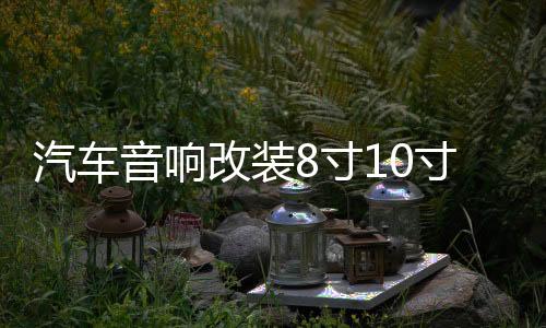 汽車(chē)音響改裝8寸10寸12寸車(chē)載無(wú)源低音炮雙音圈重低音純低音喇叭