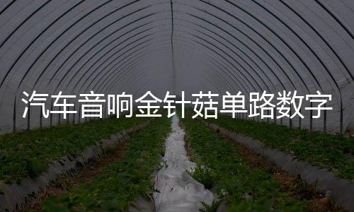 汽車音響金針菇單路數(shù)字大功率雙音圈超重純低音無源低音炮功放板