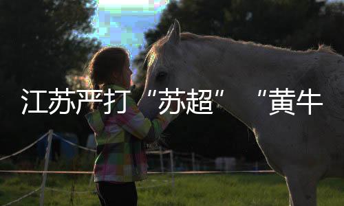江蘇嚴(yán)打“蘇超”“黃?！保旱谒妮嗁愂鹿沧カ@105人