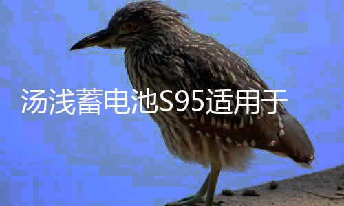 湯淺蓄電池S95適用于16款奧德賽艾力紳漢蘭達凱美瑞原裝啟停電瓶