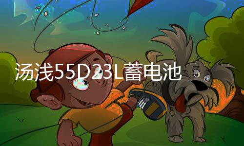 湯淺55D23L蓄電池適配現(xiàn)代朗動(dòng)雅閣帝豪卡羅拉天籟花冠汽車(chē)蓄電瓶