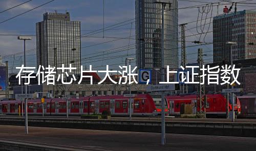 存儲芯片大漲，上證指數(shù)“金針探底”，高手怎么看？