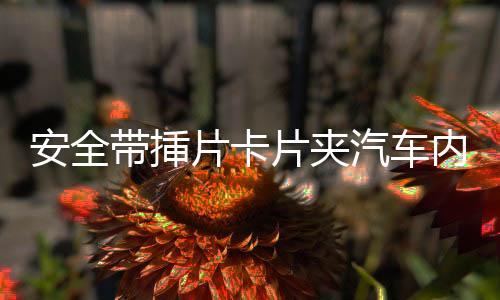 安全帶挿片卡片夾汽車內(nèi)飾裝飾扣配件摳安全帶保護(hù)套插頭轉(zhuǎn)換器