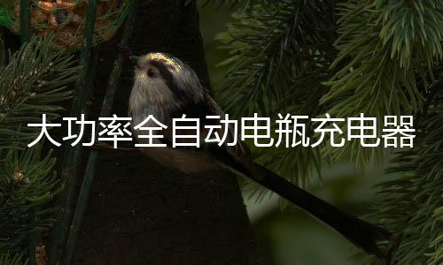 大功率全自動(dòng)電瓶充電器12V24伏智能修復(fù)維護(hù)汽車(chē)起停蓄電池脈沖
