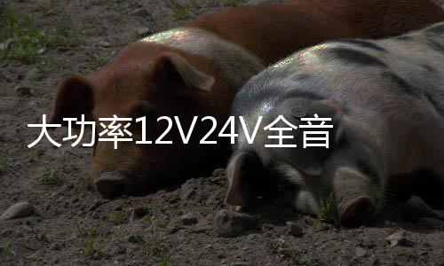 大功率12V24V全音純低音炮藍牙功放板10寸12寸15寸汽車有源音箱板