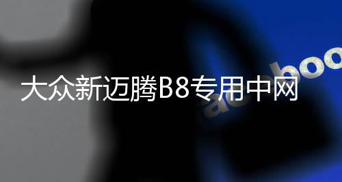 大眾新邁騰B8專用中網(wǎng)改裝亮條邁騰前臉格柵裝飾亮條汽車改裝配件