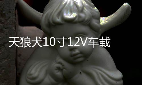 天狼犬10寸12V車載有源音響汽車低音炮超大功率藍(lán)牙音箱功放喇叭