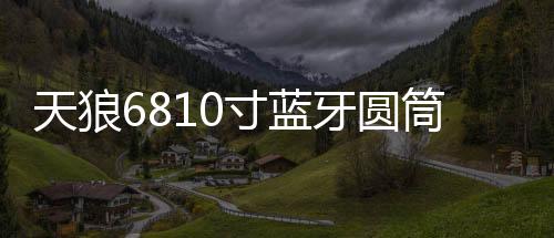 天狼6810寸藍(lán)牙圓筒大功率重低車載有源汽車低音炮12V24V220V音響
