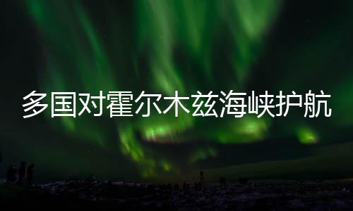 耐磨渣土車不粘土車廂滑板報價