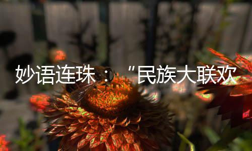 妙語連珠：“民族大聯(lián)歡就像大型的家庭文藝匯演”