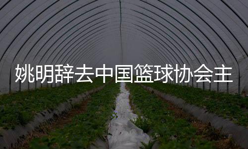 姚明辭去中國籃球協(xié)會主席職務(wù) 郭振明接任