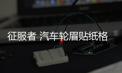 征服者 汽車輪眉貼紙格子旗劃痕遮擋車貼 個性創(chuàng)意前后保險杠貼紙