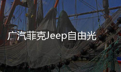 廣汽菲克Jeep自由光吉普大切諾基原裝電瓶汽車(chē)80AH瓦爾塔蓄電池
