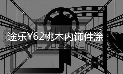 途樂(lè)Y62桃木內(nèi)飾件涂樂(lè)方向盤(pán)亮片功能按鍵裝飾貼片改裝專(zhuān)用配件