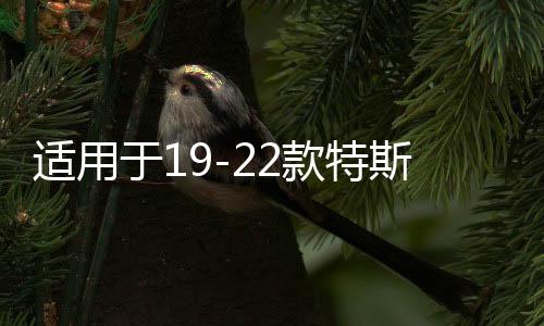 適用于19-22款特斯拉model3音響激活升級喇叭改裝線解鎖線 8升12