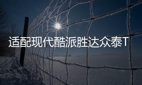 適配現(xiàn)代酷派勝達(dá)眾泰T700中華尊馳原裝電瓶瓦爾塔70A汽車蓄電池