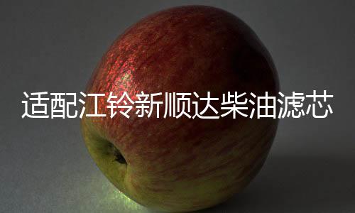 適配江鈴新順達柴油濾芯 空氣濾芯 機油濾芯 新順達國四三濾 四濾