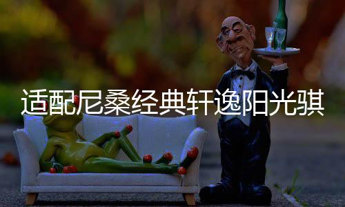 適配尼桑經(jīng)典軒逸陽(yáng)光騏達(dá)新藍(lán)鳥(niǎo)1.6L原裝55B24L電瓶瓦爾塔蓄電池
