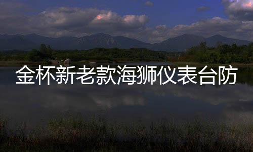 金杯新老款海獅儀表臺(tái)防曬避光墊汽車中控臺(tái)內(nèi)飾改裝專用裝飾配件