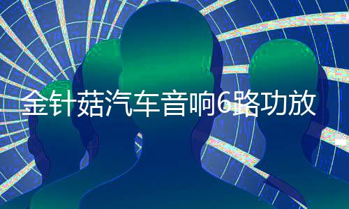 金針菇汽車音響6路功放6聲道放大器推3分頻中置低音炮發(fā)燒級(jí)改裝