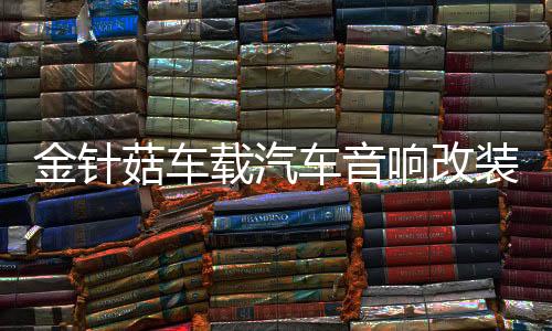 金針菇車載汽車音響改裝套裝喇叭揚(yáng)聲器6.5寸重低音同軸喇叭高音