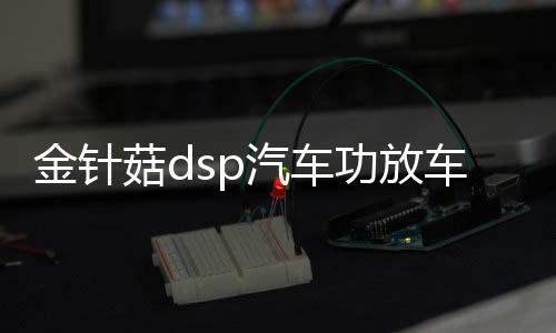 金針菇dsp汽車功放車載音頻處理器無(wú)損改裝4進(jìn)6出大功率音響低音