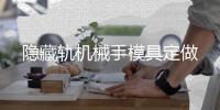 隱藏軌機(jī)械手模具定做