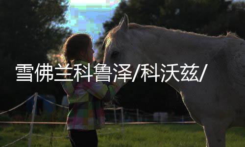 雪佛蘭科魯澤/科沃茲/沃蘭多/創(chuàng)酷創(chuàng)界探界者賽歐啟停電瓶EFB70AH