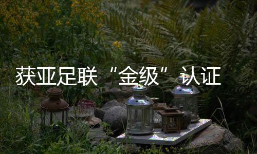 獲亞足聯(lián)“金級”認證 中國草根足球的欣喜與期待