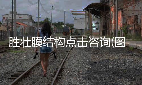 夾芯彩鋼瓦規(guī)格 鑫旺達(dá) 彩鋼瓦尺寸