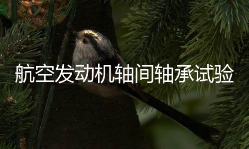 航空發(fā)動機(jī)軸間軸承試驗(yàn)機(jī)