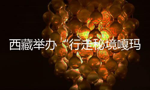 西藏舉辦“行走秘境嘎瑪”珠峰東坡徒步之旅產品發(fā)布會