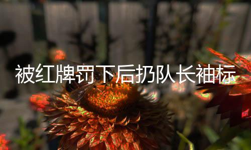 被紅牌罰下后扔隊長袖標引發(fā)爭議，王大雷道歉