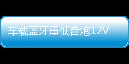 車載藍(lán)牙重低音炮12V汽車摩托貨車24v專用音改裝無線音箱小鋼炮