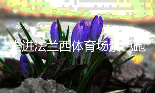 走進(jìn)法蘭西體育場(chǎng)紫色跑道，千分秒之差何以呈現(xiàn)？