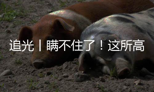 追光丨瞞不住了！這所高校的學(xué)生居然會(huì)“一葦渡江”