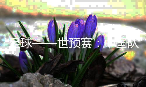 足球——世預(yù)賽：中國隊舉行新聞發(fā)布會并進行賽前訓練