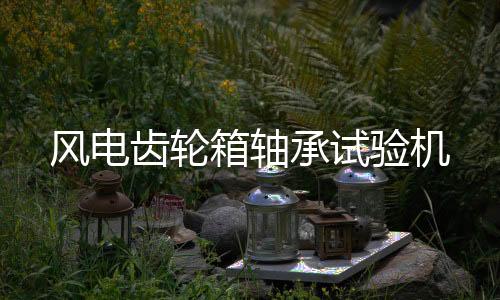 風(fēng)電齒輪箱軸承試驗(yàn)機(jī)