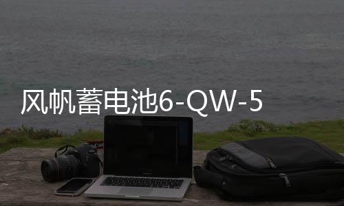 風(fēng)帆蓄電池6-QW-54(產(chǎn)品升級(jí)為T6)適用桑塔納志俊12V汽車電瓶