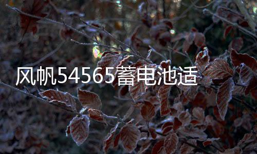 風(fēng)帆54565蓄電池適配騰翼C20/C30/寶駿310W/510/360/原裝汽車電瓶
