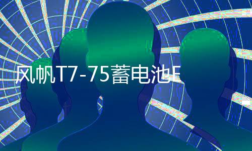 風(fēng)帆T7-75蓄電池EFB適用?？怂姑傻蠚W銳界翼虎啟停汽車專用電瓶