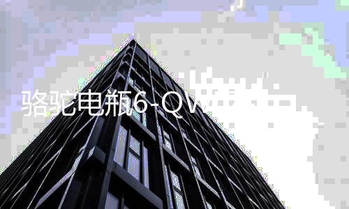 駱駝電瓶6-QWLZ-100適用于東風(fēng)船舶叉車貨車汽車蓄電池 以舊換新