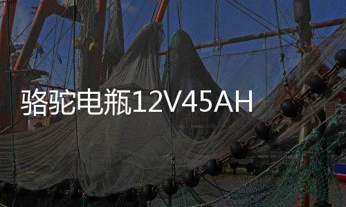 駱駝電瓶12V45AH適配長安之星面包車五菱宏光s東風(fēng)小康汽車蓄電池