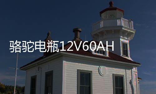 駱駝電瓶12V60AH適配科魯茲捷達愛麗舍明銳寶來汽車蓄電池L2-400