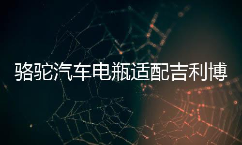 駱駝汽車(chē)電瓶適配吉利博越福特福睿斯福克斯T6(60AH)蓄電池
