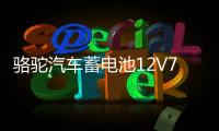 駱駝汽車蓄電池12V70AH適用馬自達(dá)凱美瑞漢蘭達(dá)皇冠銳志電瓶80D26