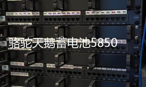 駱駝天鵝蓄電池58500免維護(hù)12V48AH五菱之光榮光原裝汽車電瓶