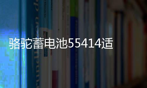 駱駝蓄電池55414適配桑塔納2000老捷達(dá)汽車電瓶54AH 以舊換新